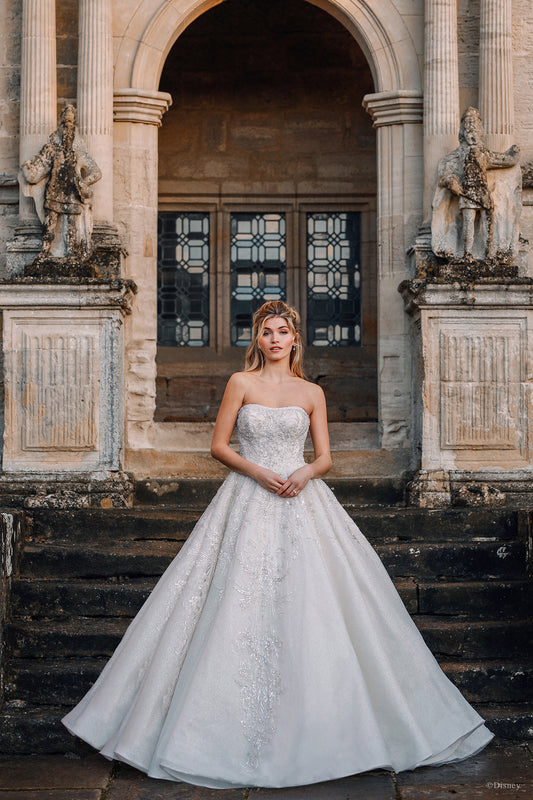 DP273 - Cinderella