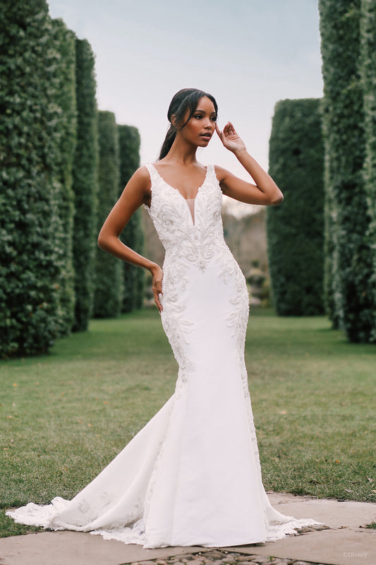 DP274 - Jasmine