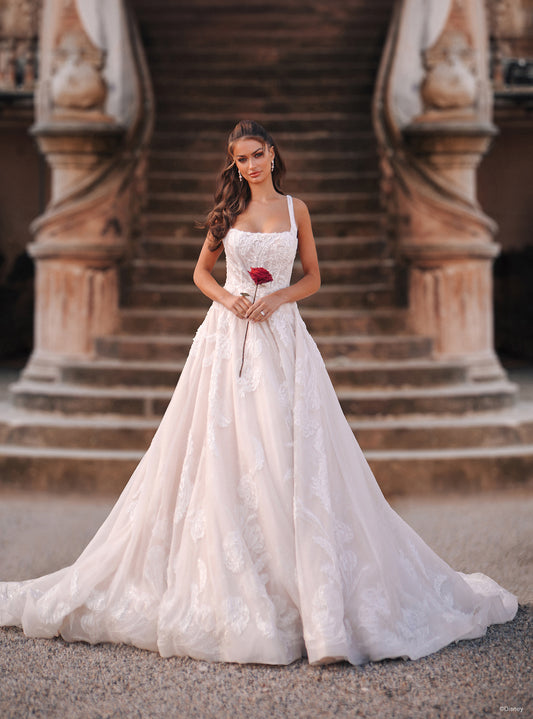 DP402 - Belle