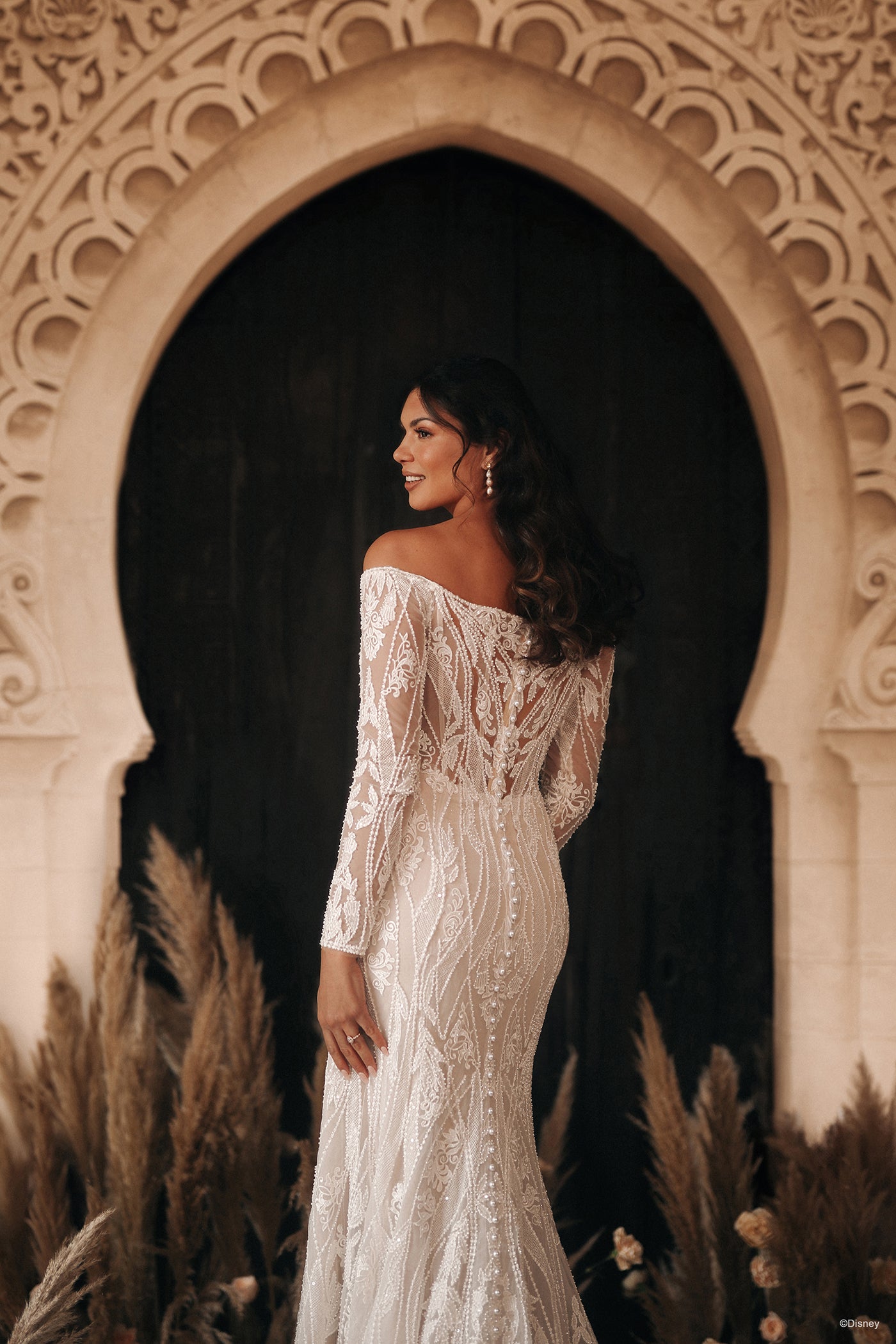DP404 - Jasmine