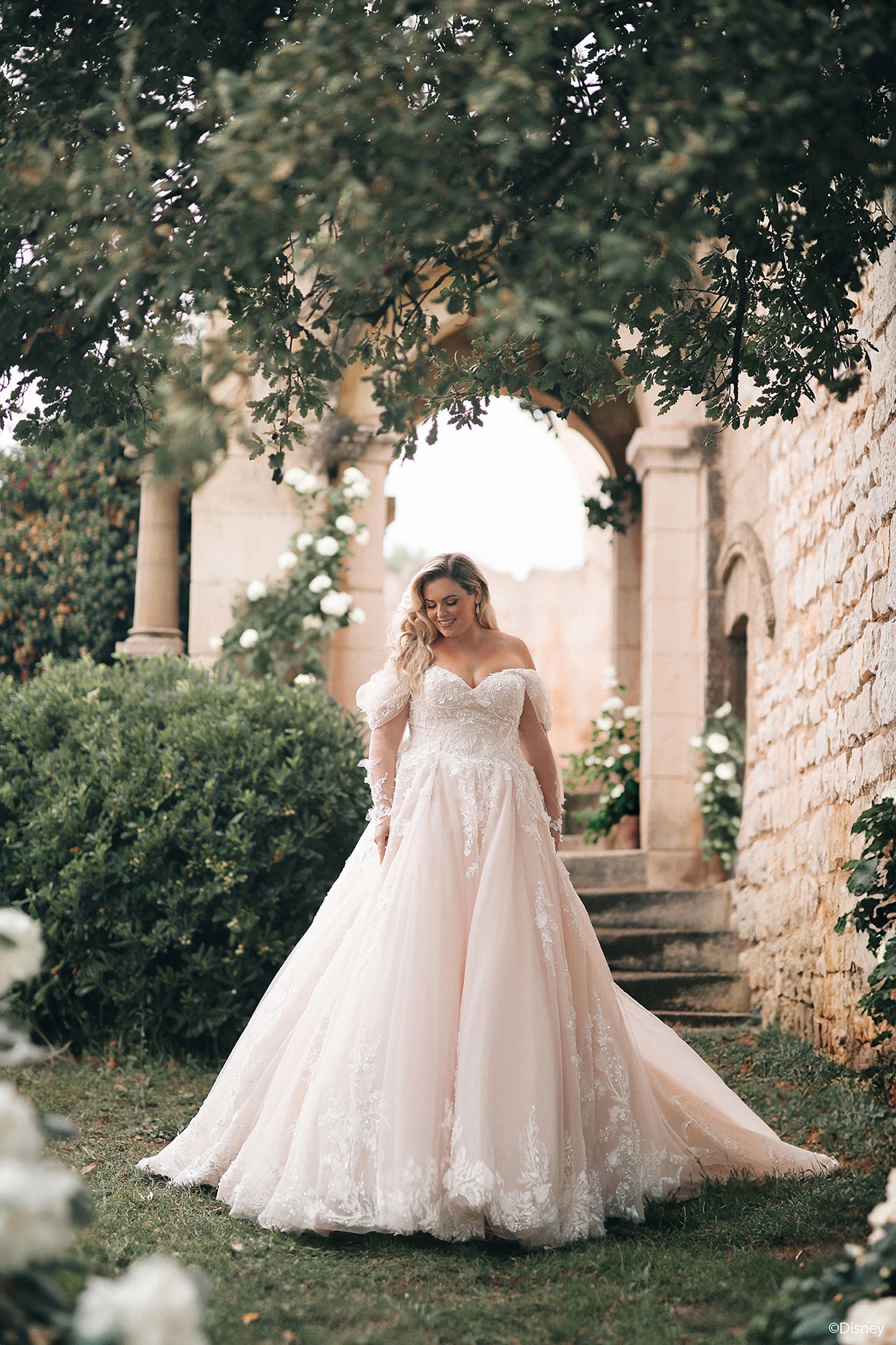 DP421 - Aurore