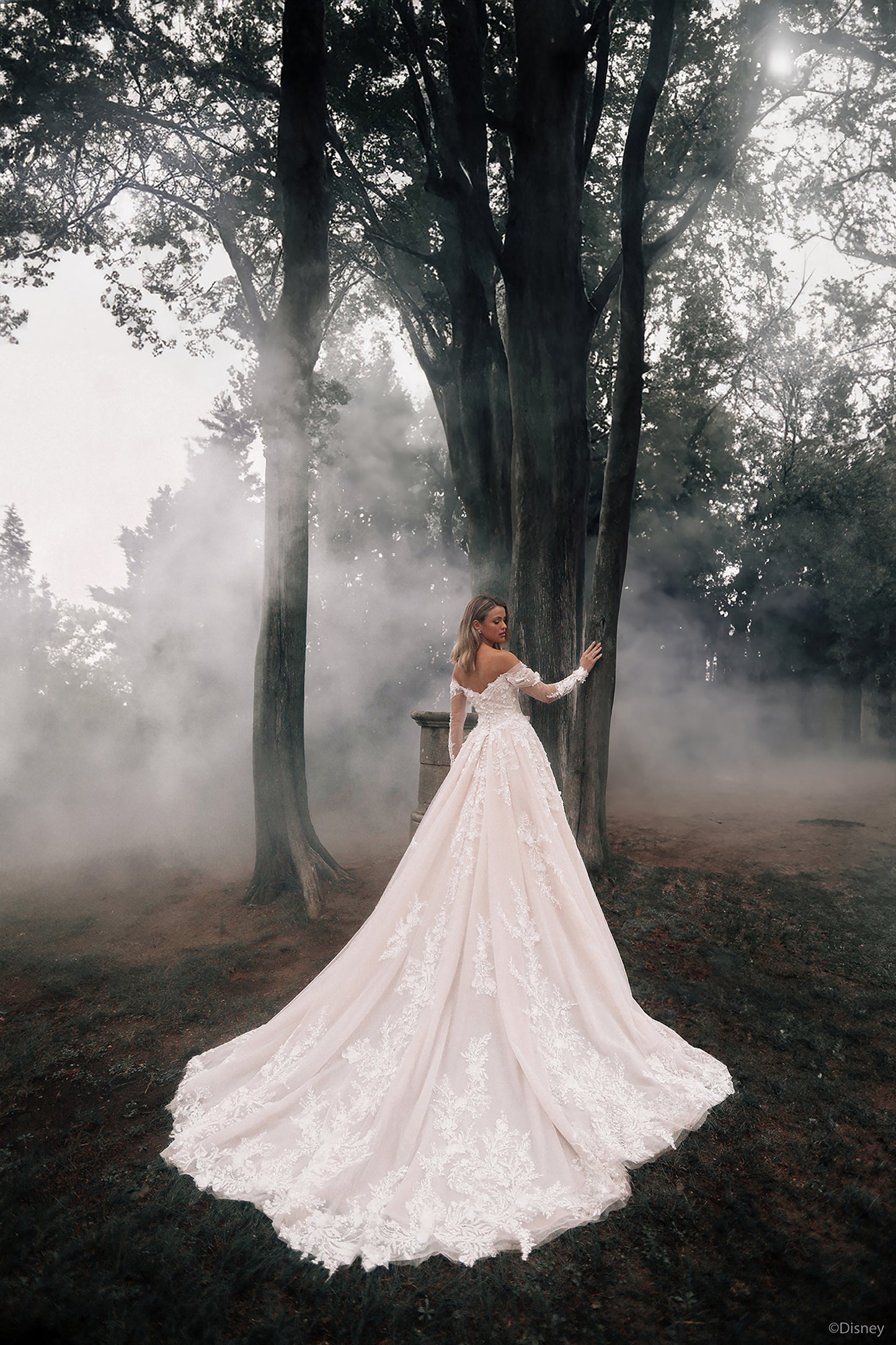 DP421 - Aurore