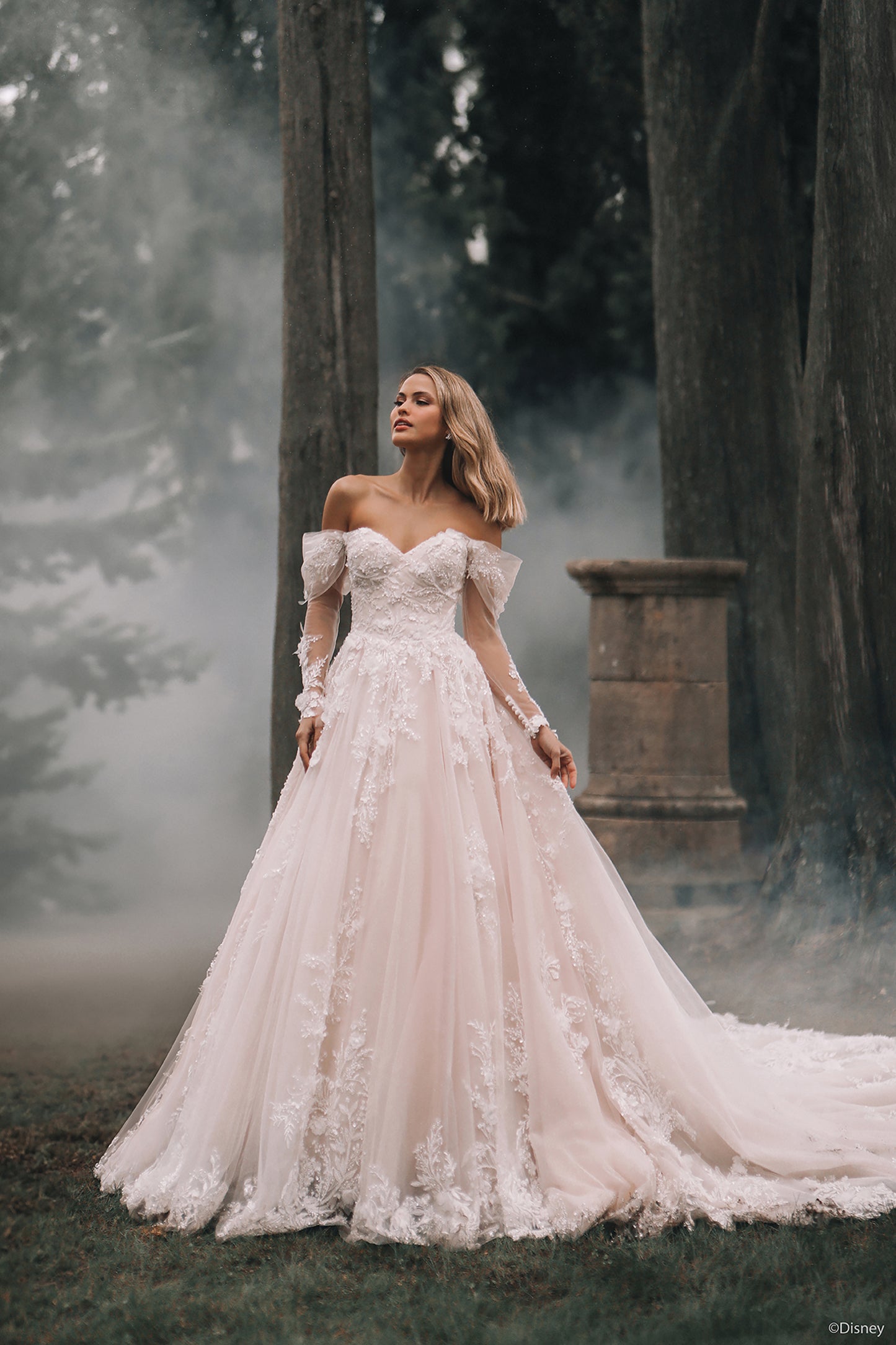 DP421 - Aurore