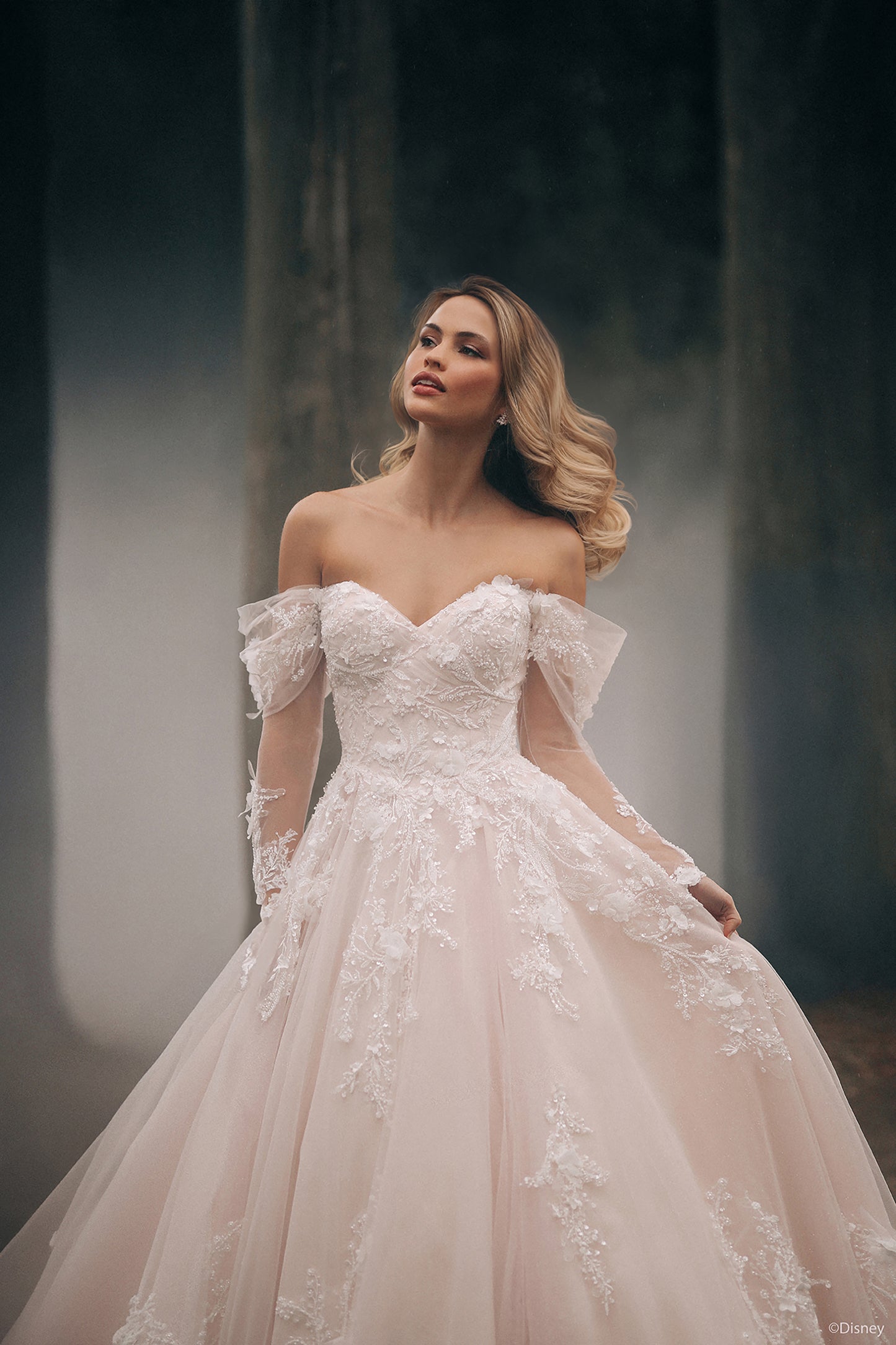 DP421 - Aurore