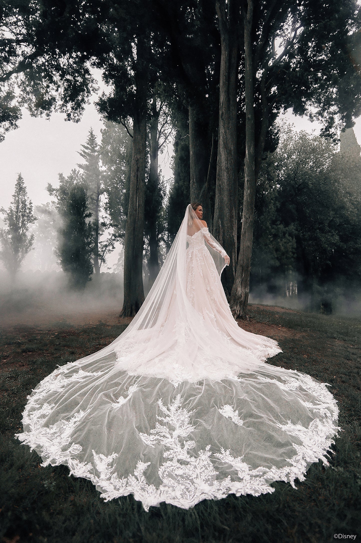 DP421 - Aurore