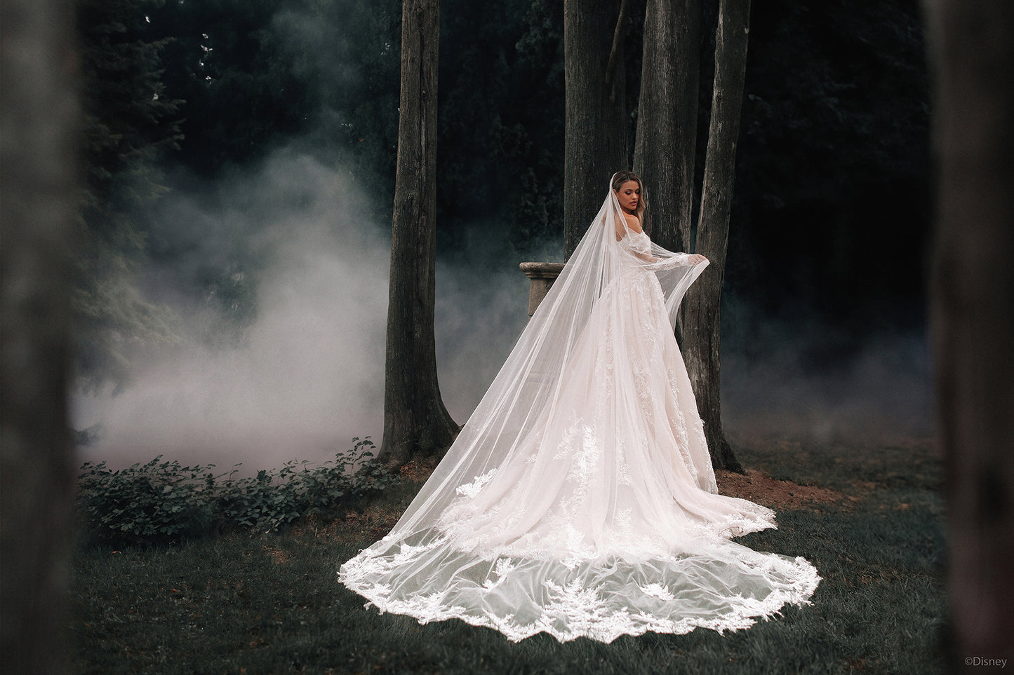 DP421 - Aurore