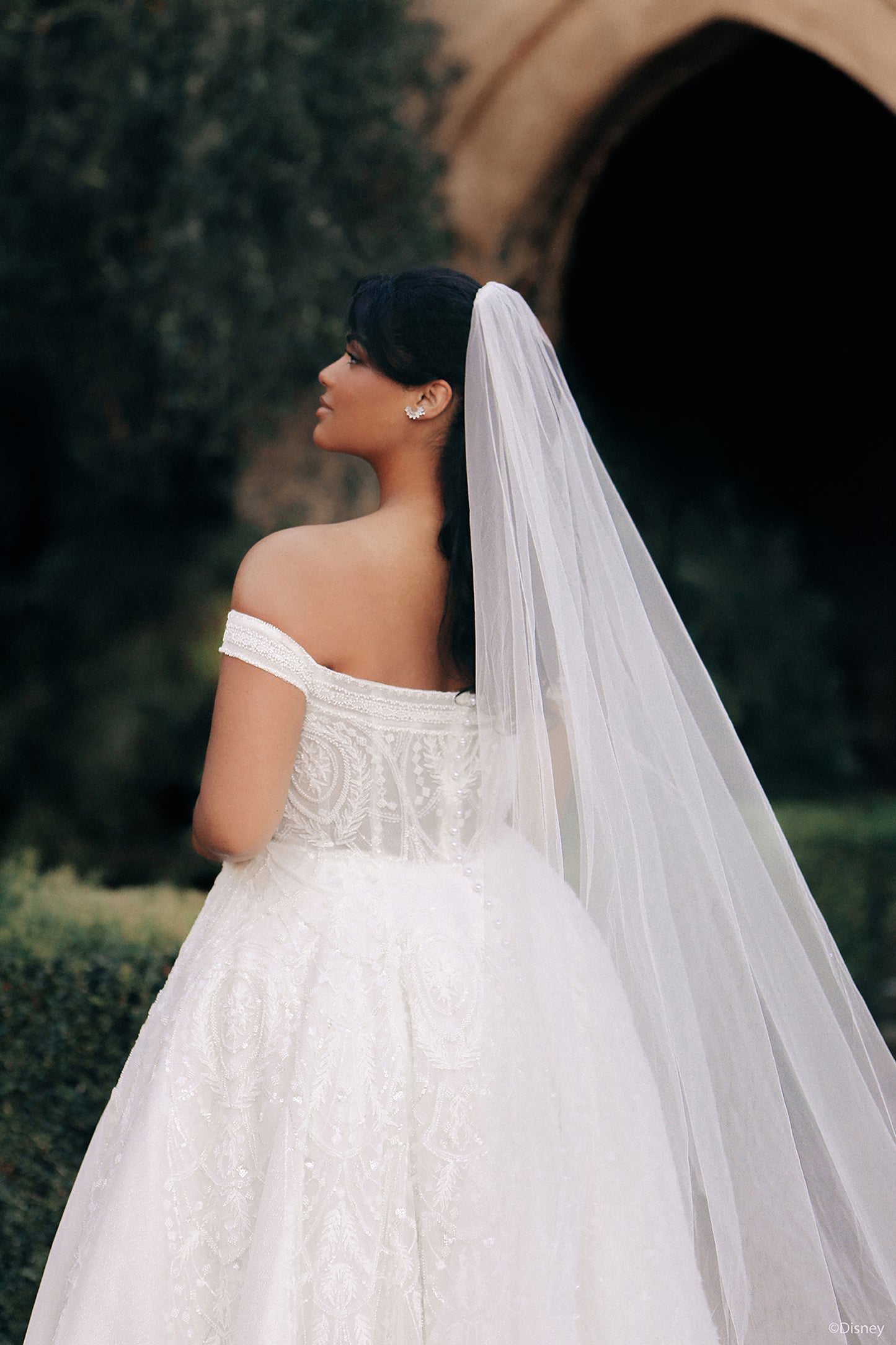 DP424 - Jasmine
