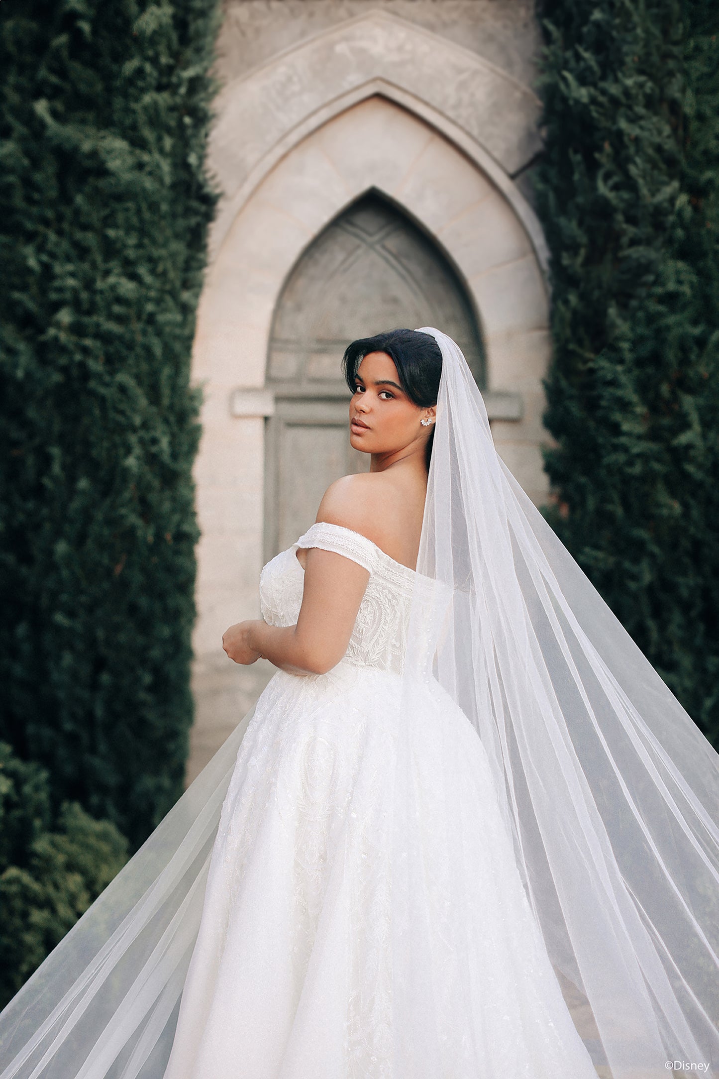 DP424 - Jasmine