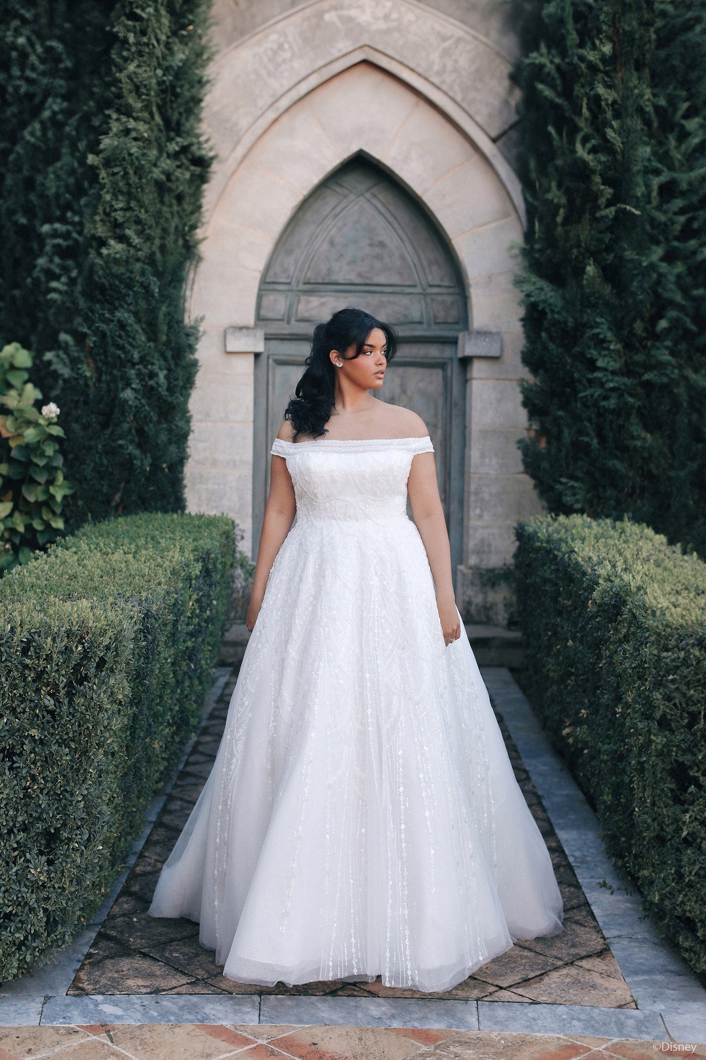 DP424 - Jasmine