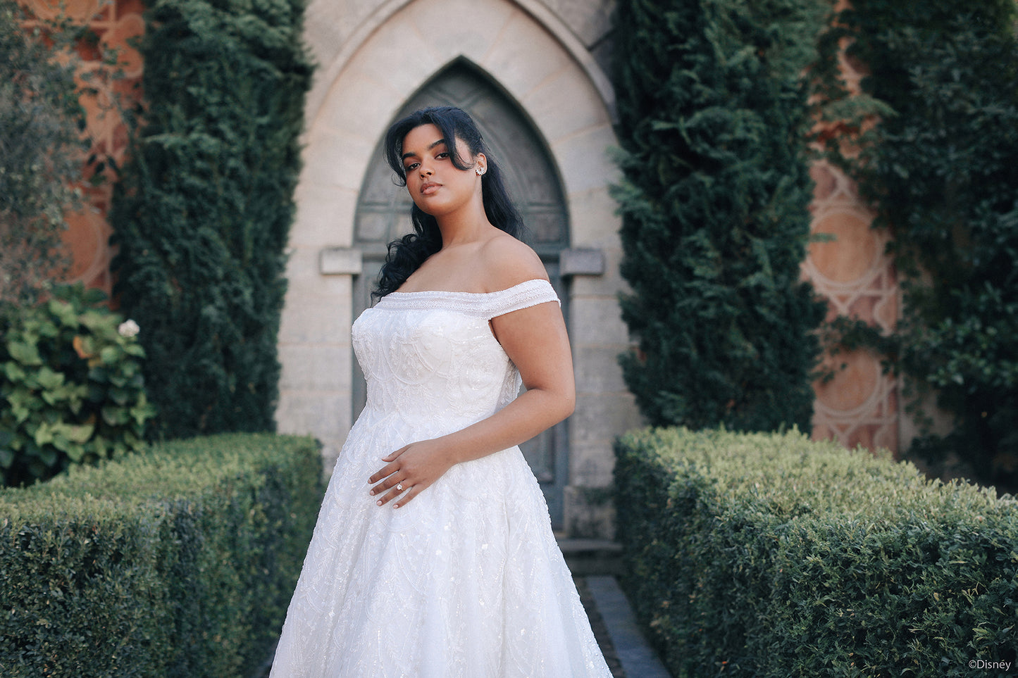 DP424 - Jasmine