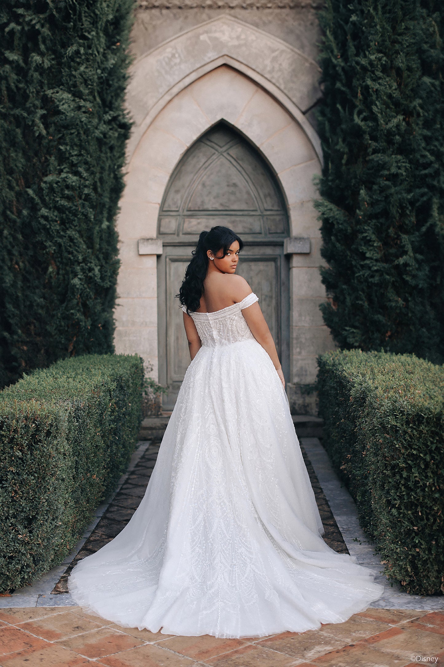 DP424 - Jasmine