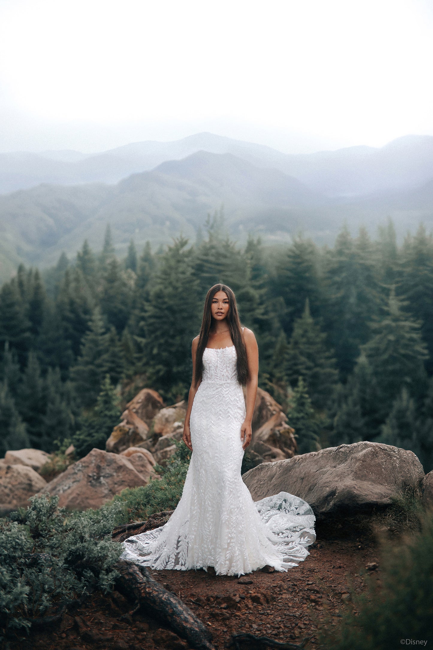 DP425 - Pocahontas
