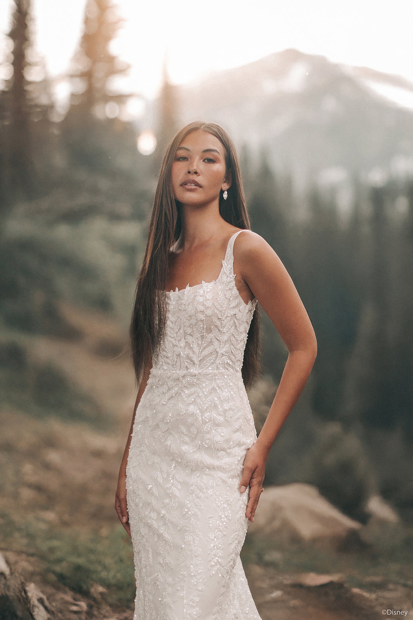 DP425 - Pocahontas