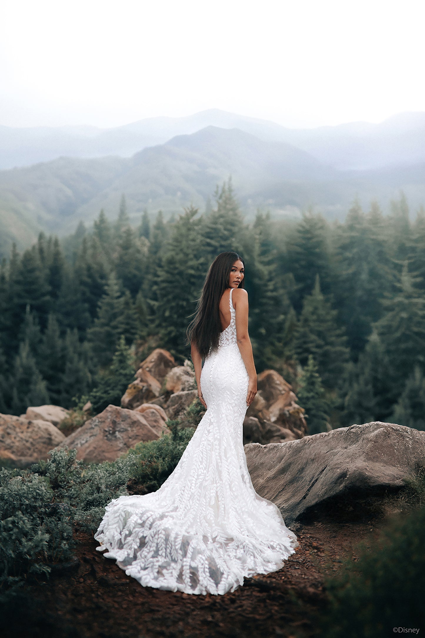 DP425 - Pocahontas