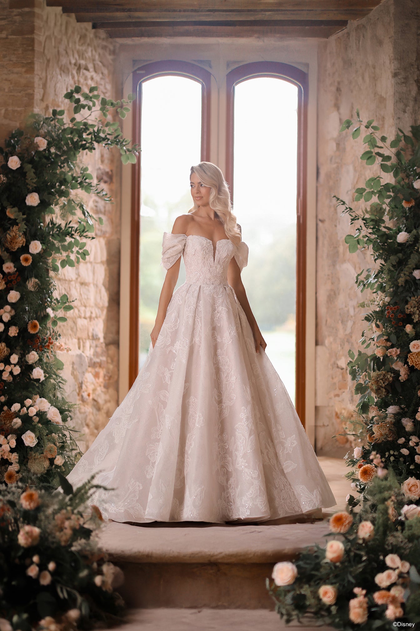 DP451 - Aurora | Disney Princess Wedding Dresses Allure Bridals DP451 - Aurora | Disney Princess Wedding Dresses Allure Bridals