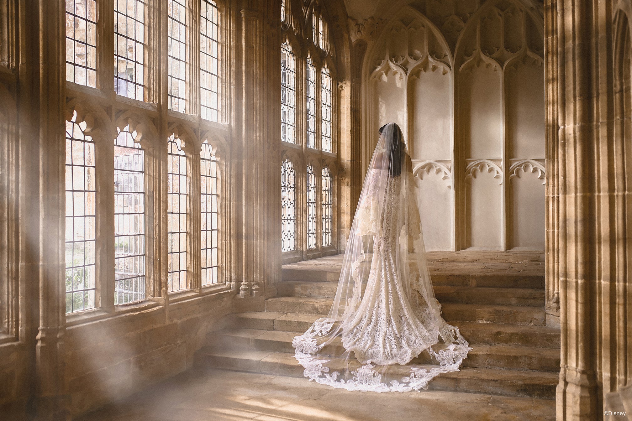 DV54 | Jasmine Veil | Disney Princess Wedding Dresses