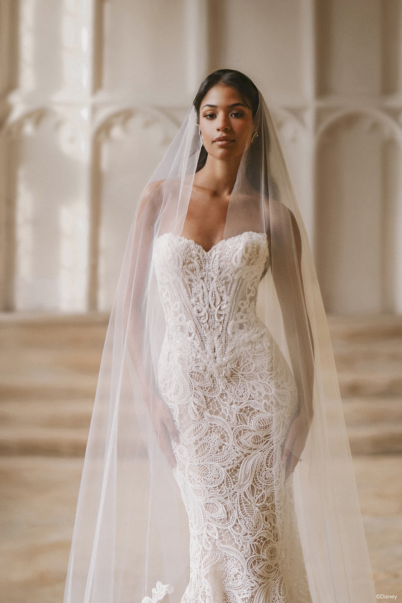 DV54 | Jasmine Veil | Disney Princess Wedding Dresses