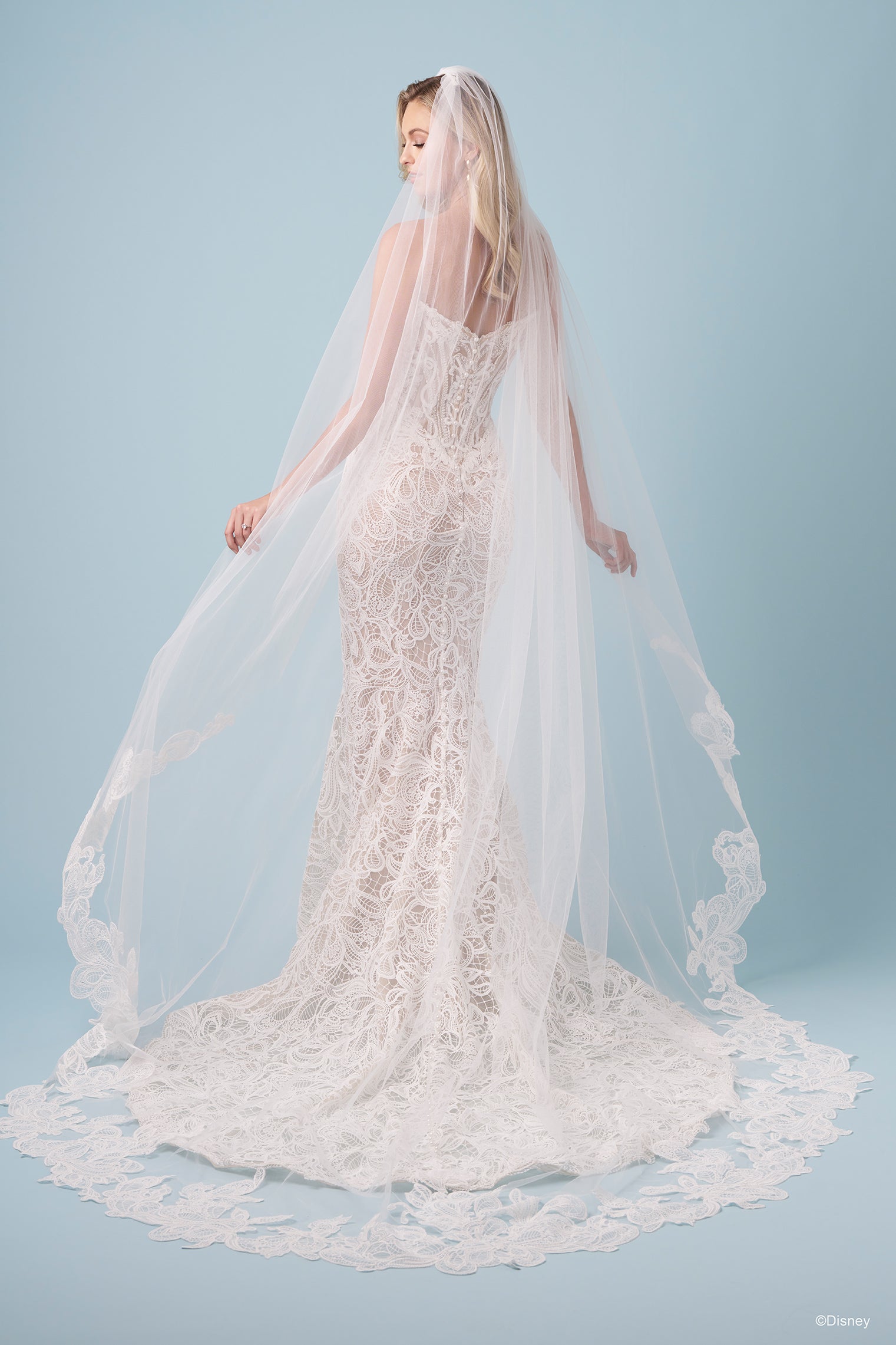 DV54 | Jasmine Veil | Disney Princess Wedding Dresses