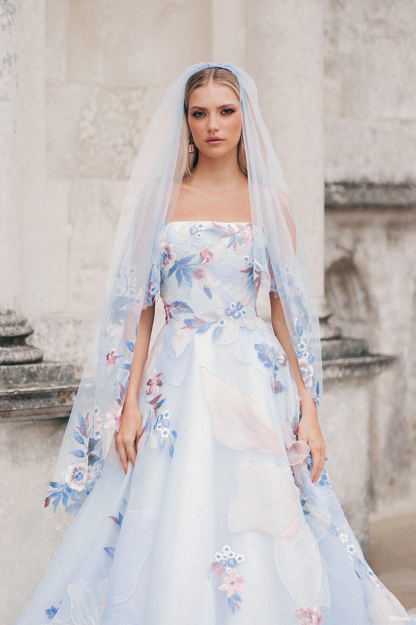 DV56 | Rapunzel Veil