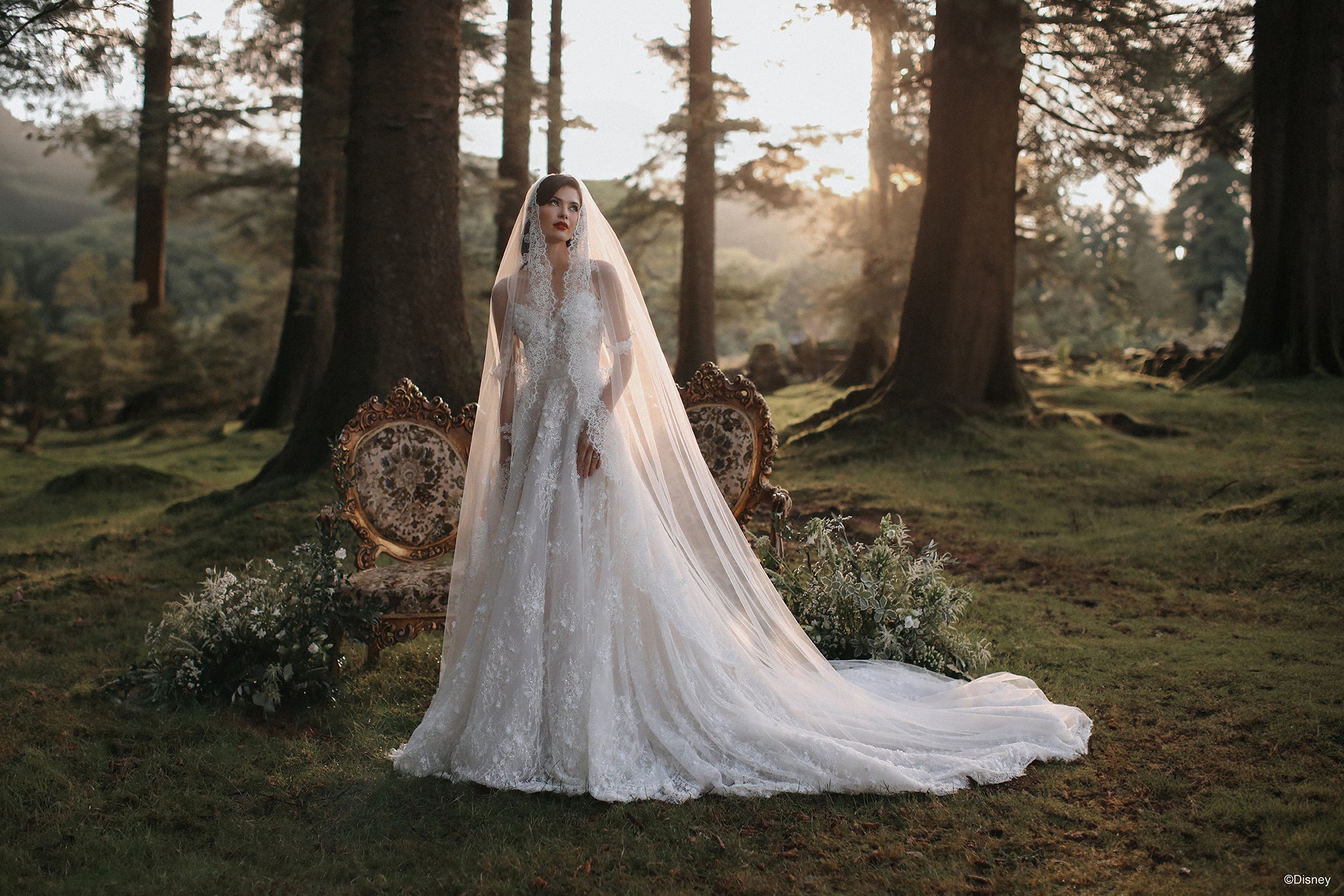 DV57 | Snow White Veil | Disney Princess Wedding Dresses