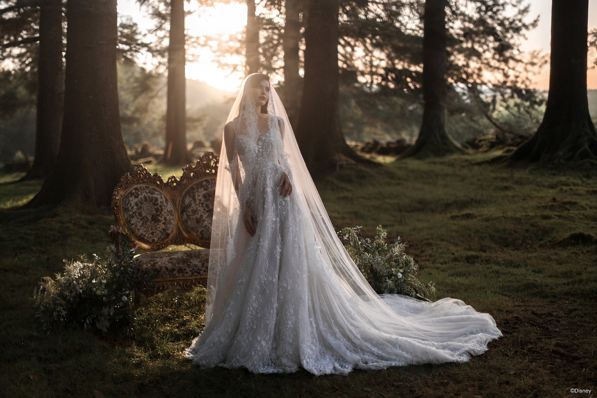 DV57 | Snow White Veil | Disney Princess Wedding Dresses – Allure