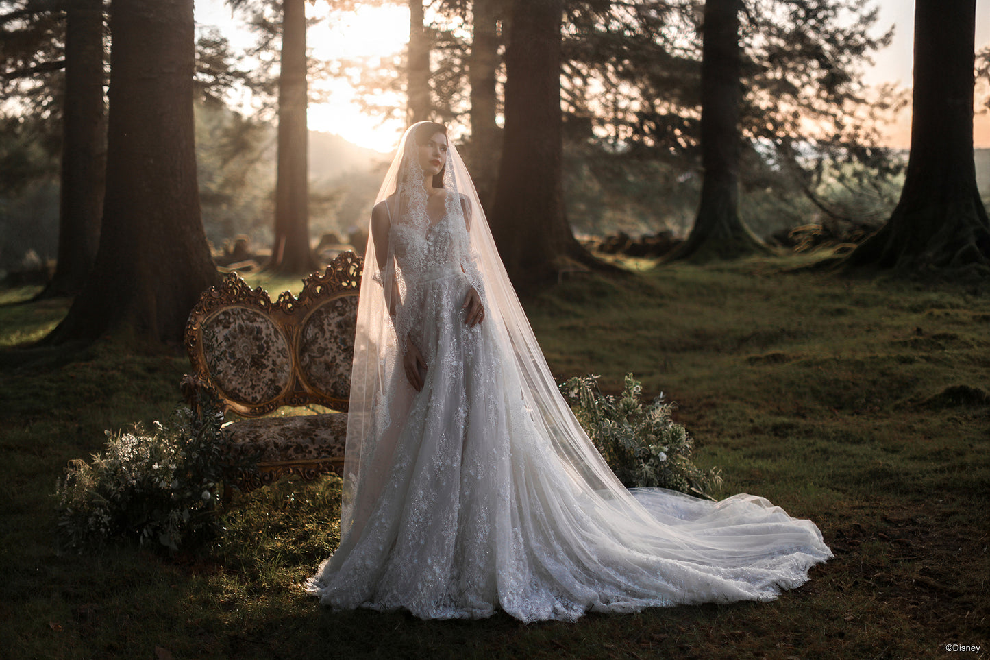 DV57 - Snow White Veil