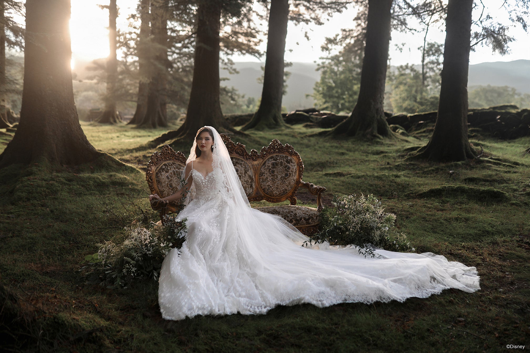 DV57 | Snow White Veil | Disney Princess Wedding Dresses – Allure