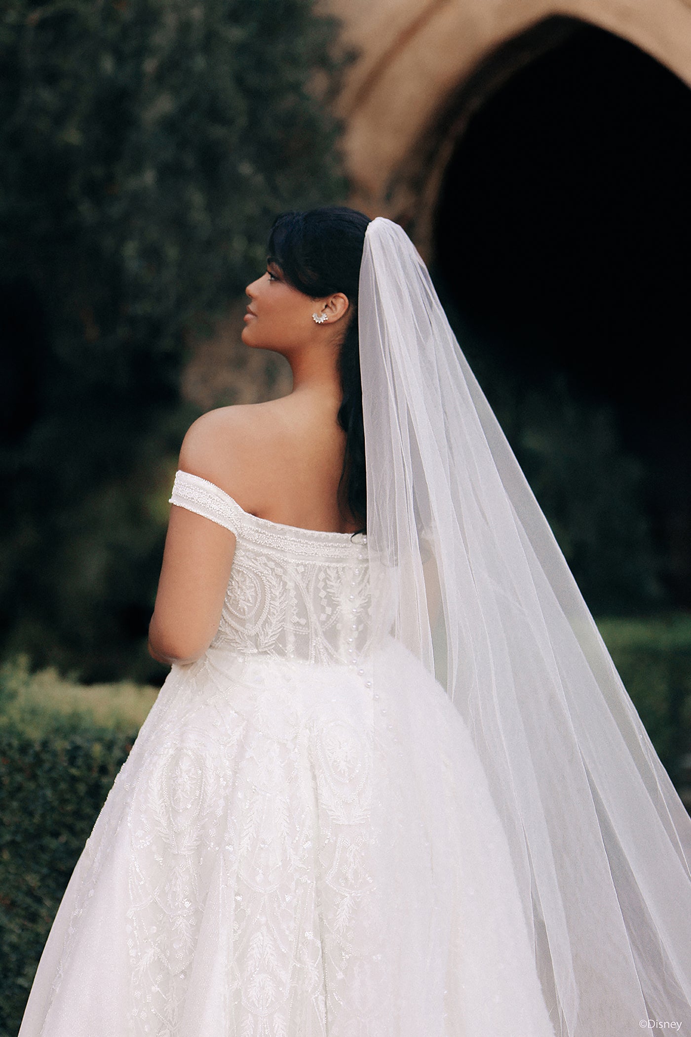 DP424 - Jasmine