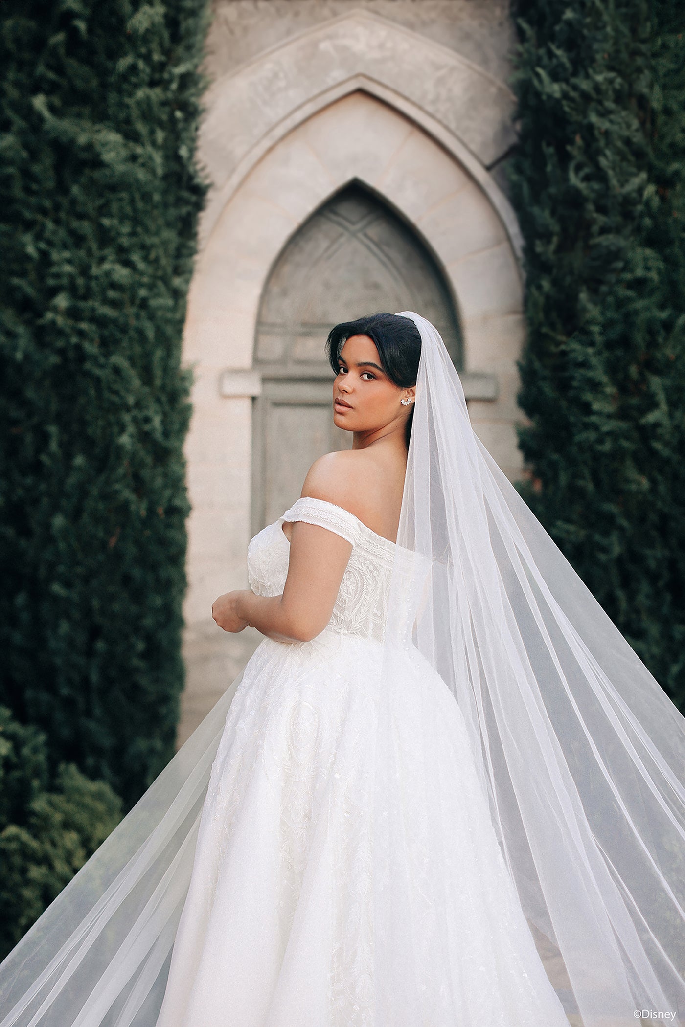 DP424 - Jasmine
