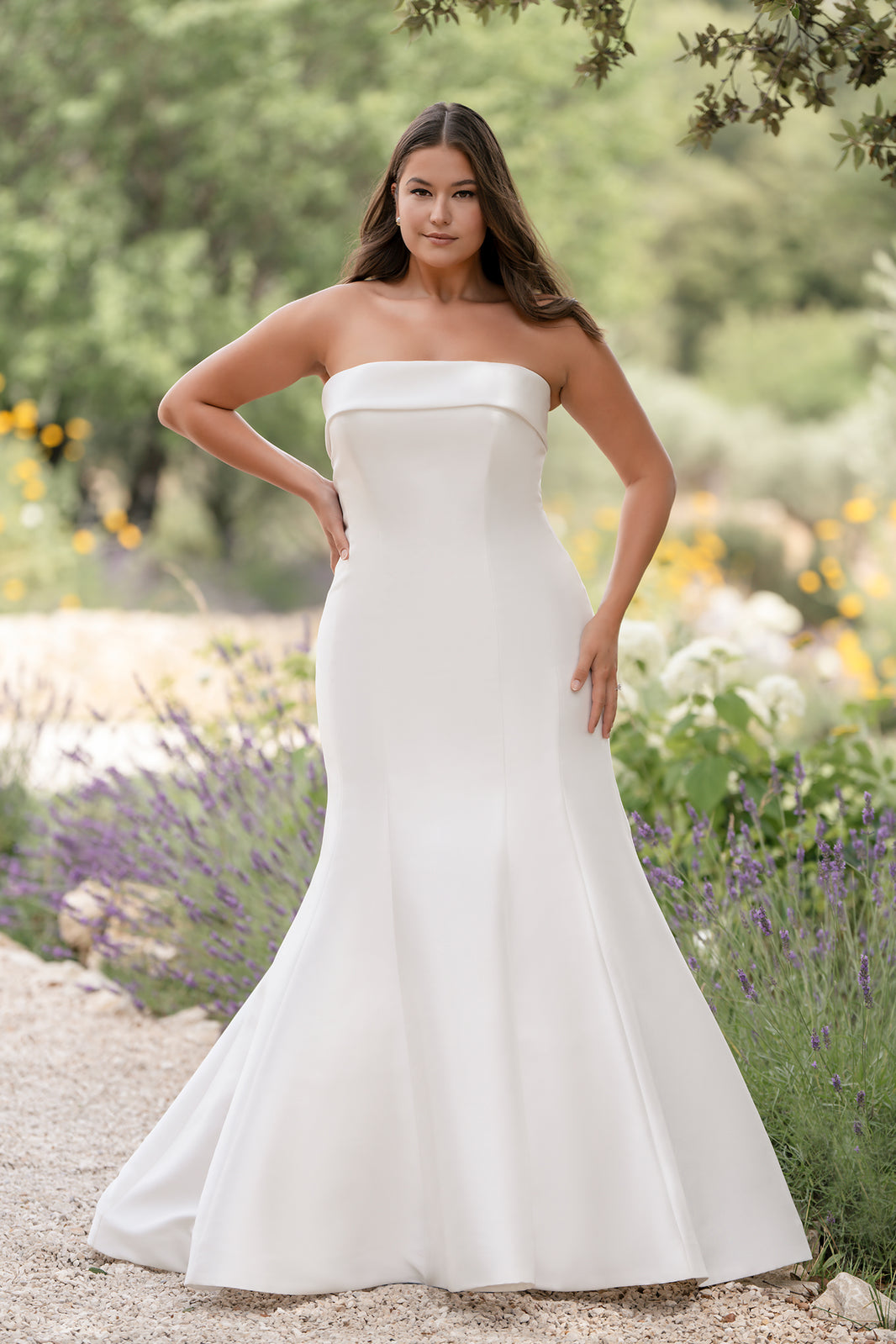 Plus Size Bridal Gown Allure Bridal Plus Size Allure Bridals